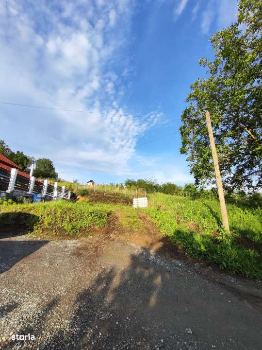 Teren intravilan, 600 mp, in sat Badeni - Imagine principală: 5/6