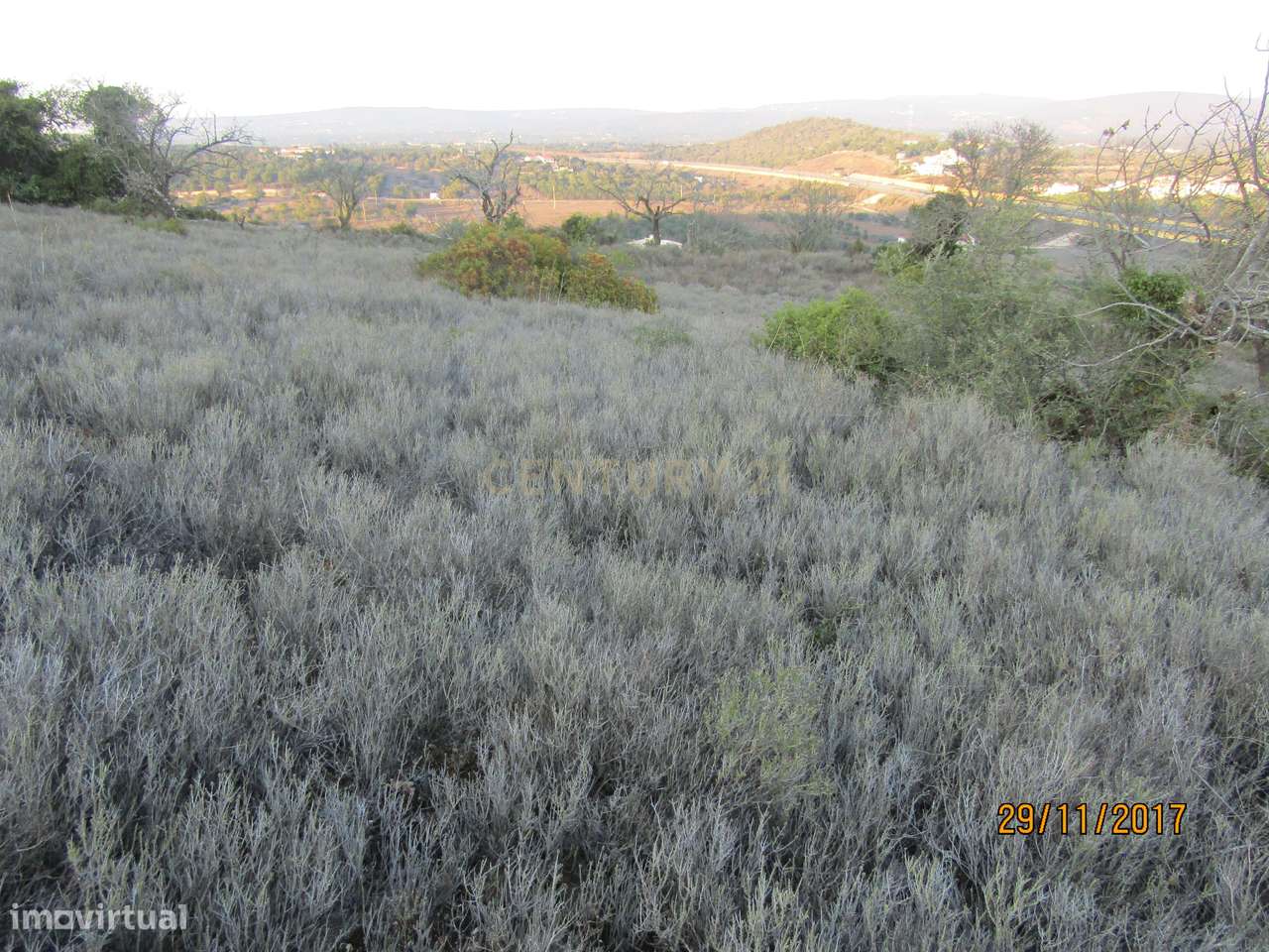 Terreno Rústico - Paderne - Grande imagem: 5/5
