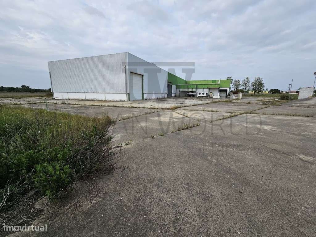 Armazém, Salvaterra de Magos - Santarém, 3.026 m2-7