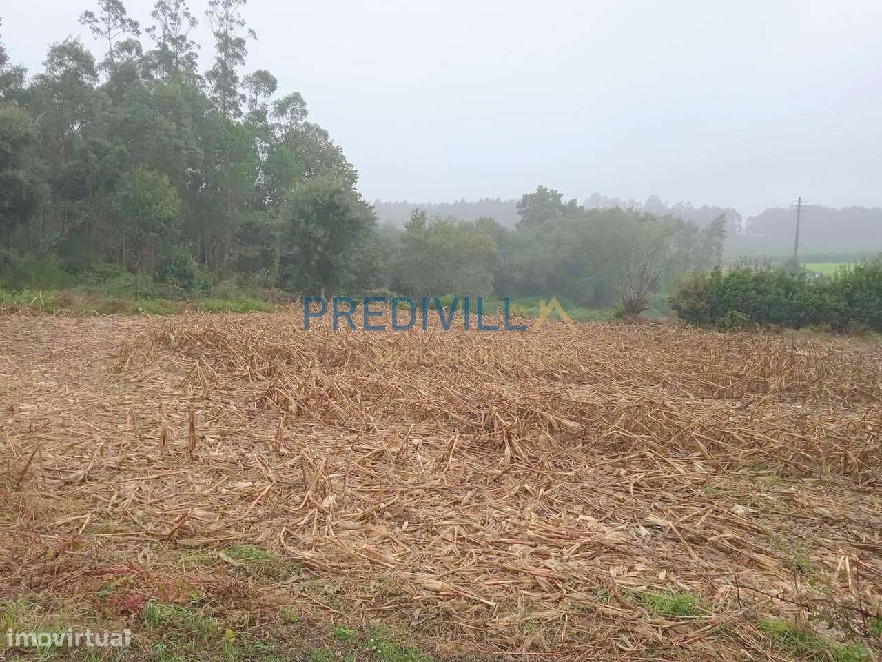 Terreno Misto  Venda em Vilar e Mosteiró,Vila do Conde - Grande imagem: 4/13