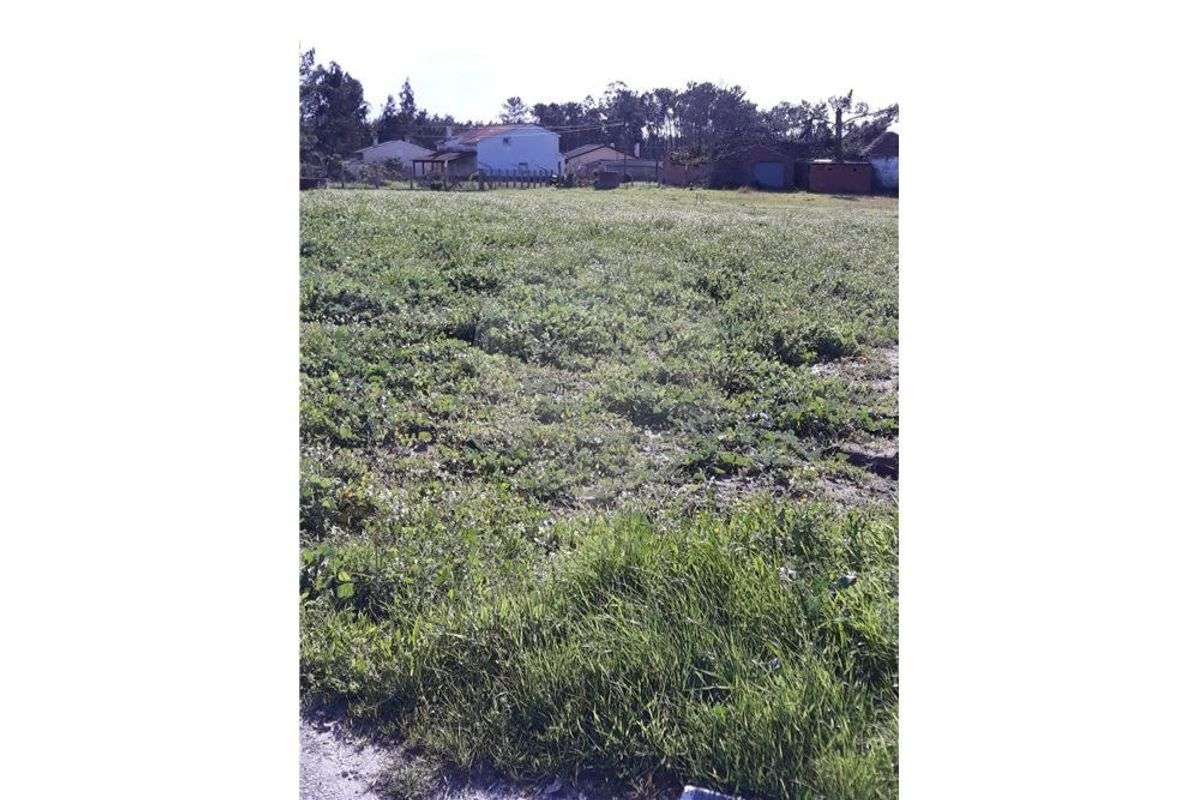 Terreno  para venda - Grande imagem: 5/5