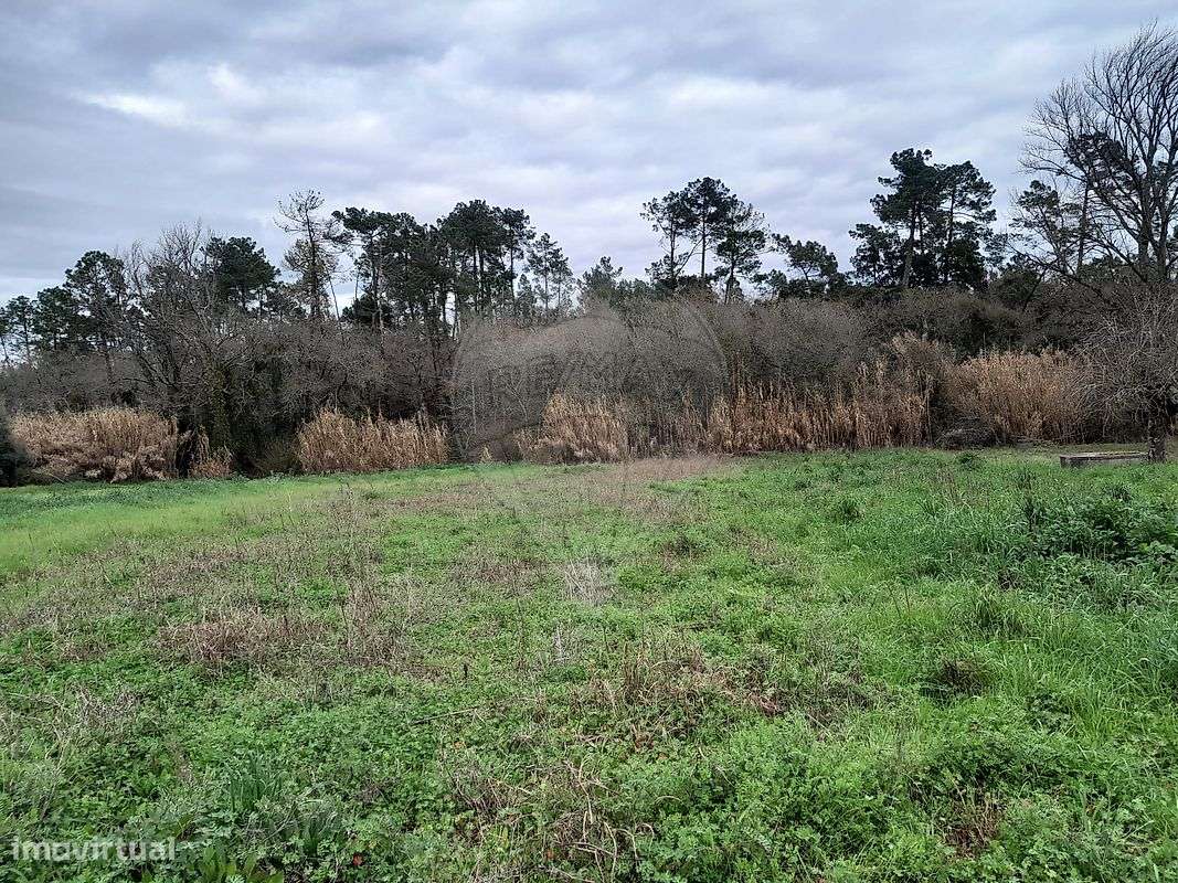 Terreno  para venda - Grande imagem: 5/6