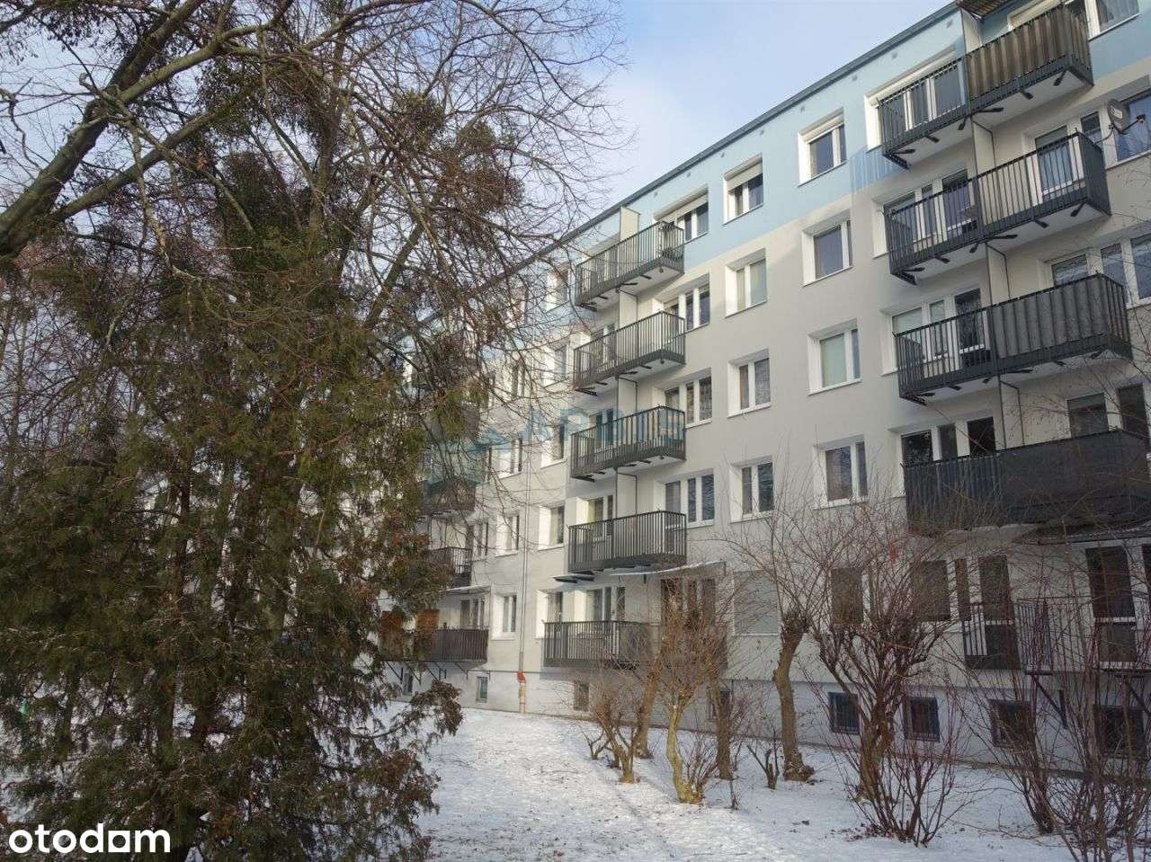 Winogrady , niski blok , 2 piętro,  3 pokoje !-9