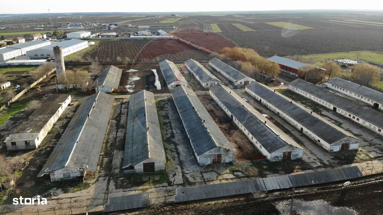 Hale 16 mii mp cu 9 ha teren intravilan - Imagine principală: 3/4