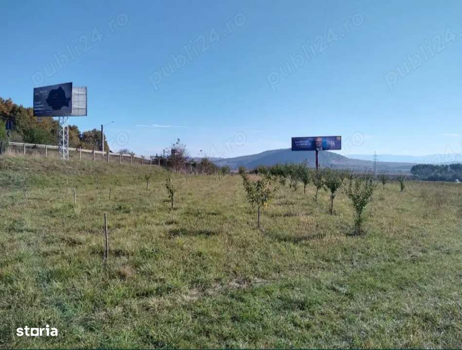 Teren  12300 mp  Cranimat, zona industriala - Imagine principală: 4/5