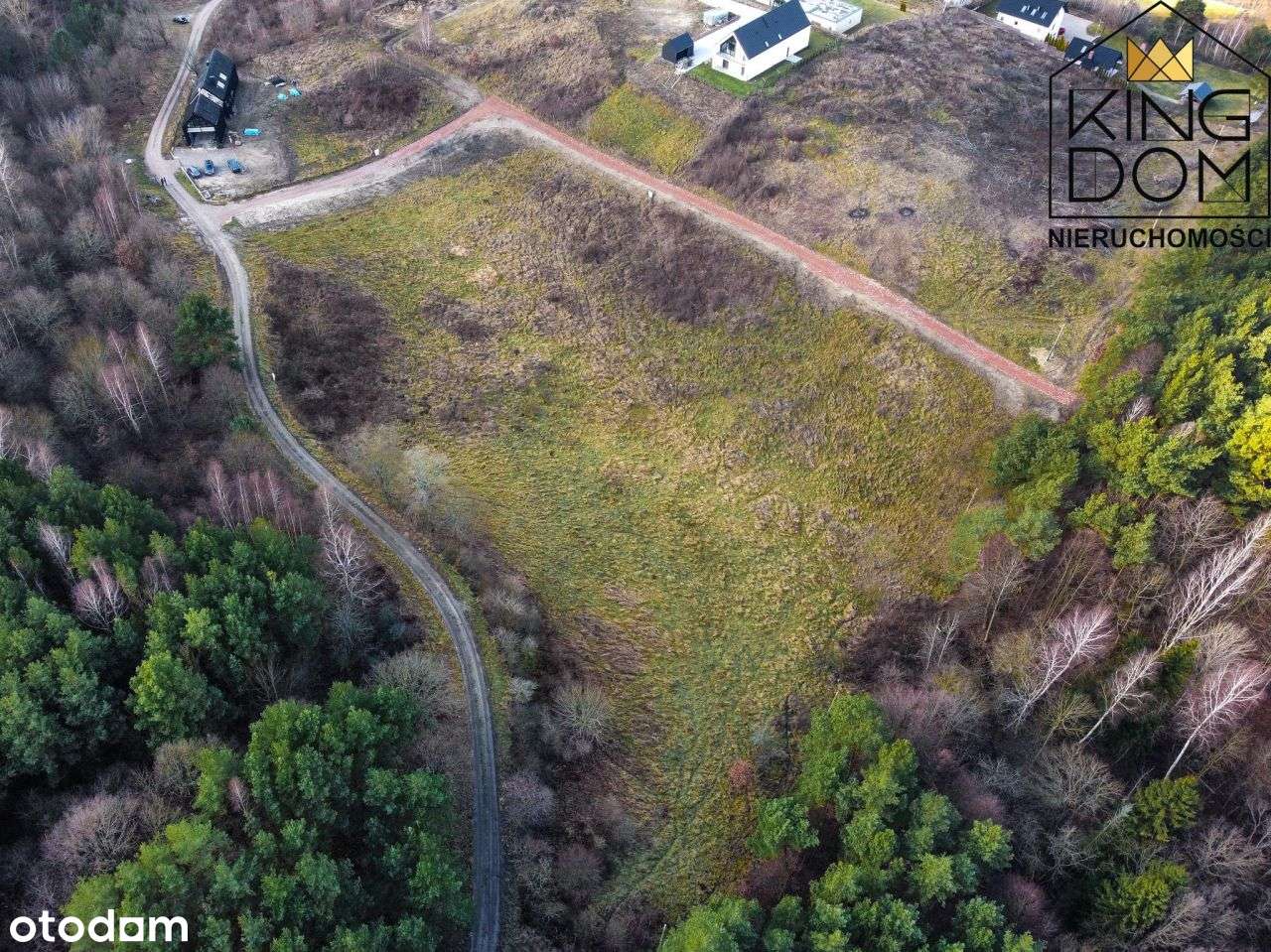 Działki W Sąsiedztwie Zalewu Wiślanego - Pełny obrazek: 5/7