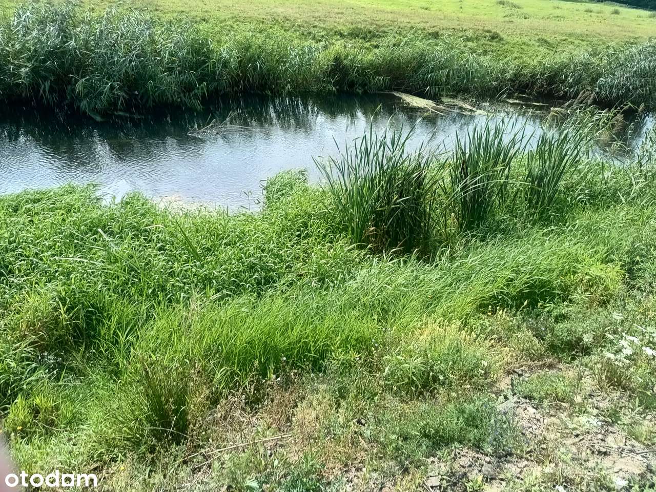 Piękna działka pod zabudowę nad Iną Stargard-Lubowo - Pełny obrazek: 1/6