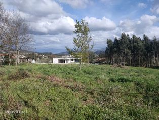 Terreno - Grande imagem: 5/5