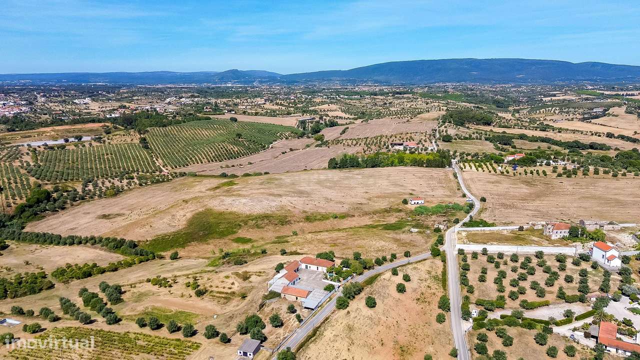 Terreno em Vale Carvão-Carril-Torres Novas | 15,88 Hectares - Grande imagem: 5/17