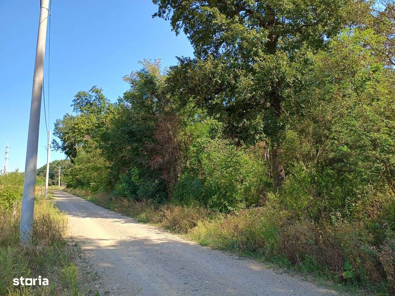 Teren de Vânzare 17.000 mp,Mihai Voda comuna Bolintin Deal-3