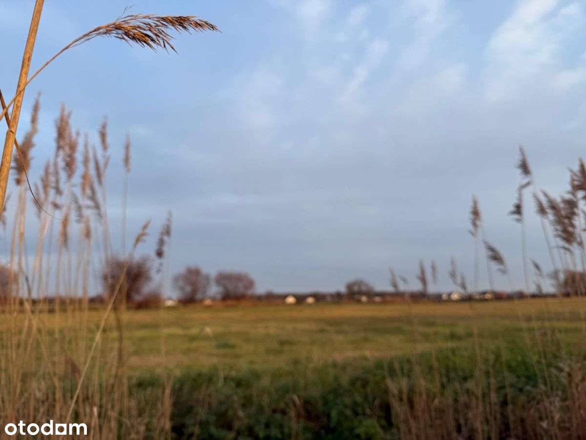 Działki rolne na sprzedaż | bliskość rzeki-10
