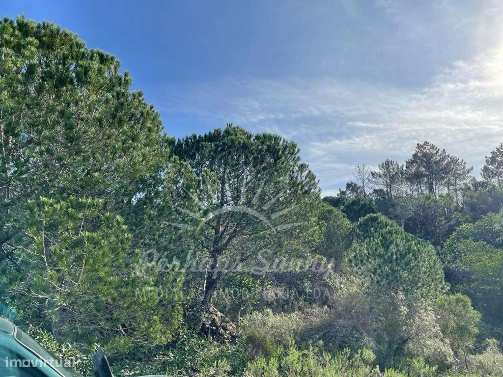 Prédio Rústico - Melides - Grande imagem: 5/15