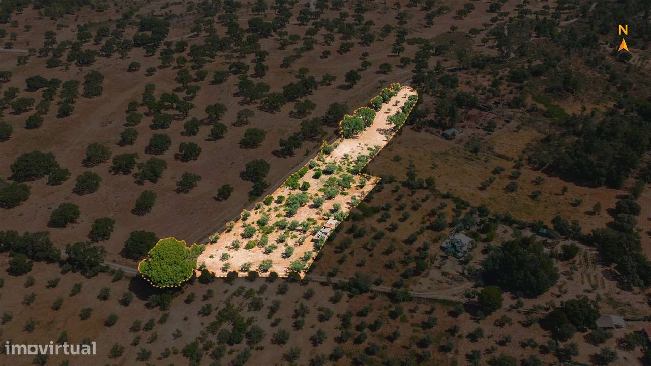 Terreno Rústico  Venda em Escalos de Cima e Lousa,Castelo Branco-19