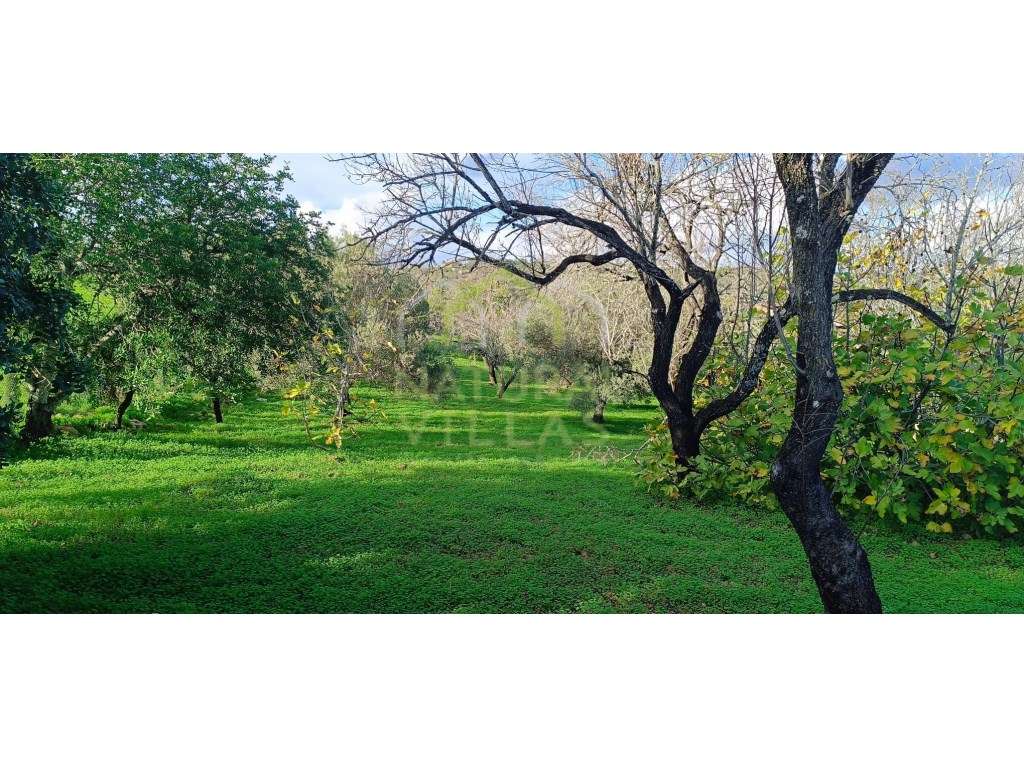 Terreno Rústico em Palmeiral, Loulé - Grande imagem: 5/6