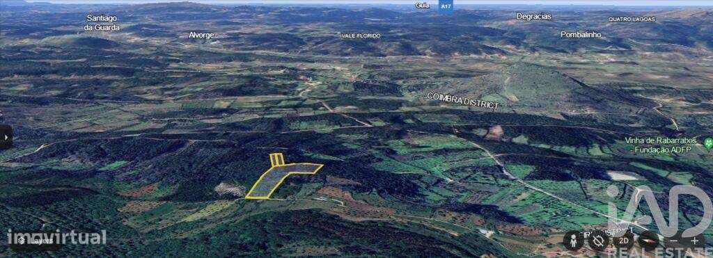 Terreno Agrícola em Alvorge de 7090,00 m2 - Grande imagem: 5/9