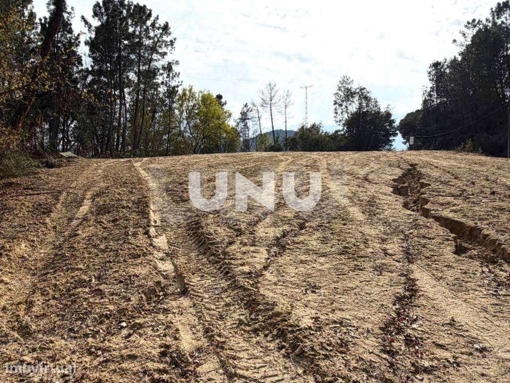 Terreno Rústico - Envolvente de Natureza-8