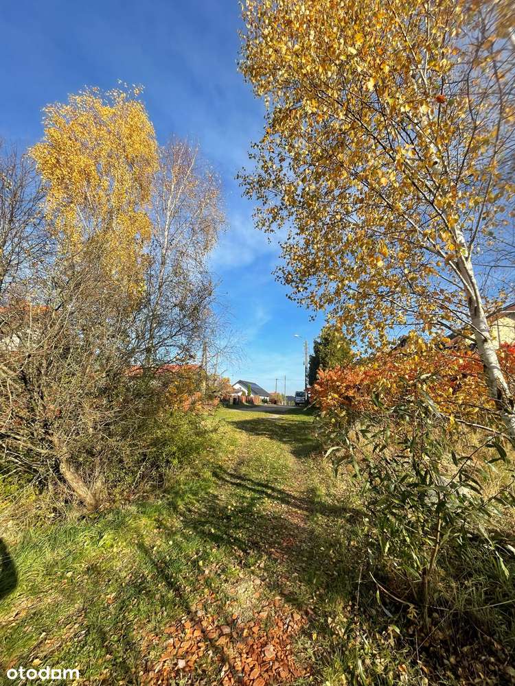 Działka pod budowę domu z dopuszczeniem usług. Kowalewo k. Szubina - Pełny obrazek: 5/5