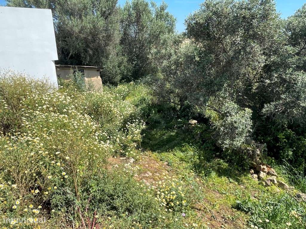 Lote de Terreno com Ruína em Boliqueime, Algarve - Grande imagem: 4/8
