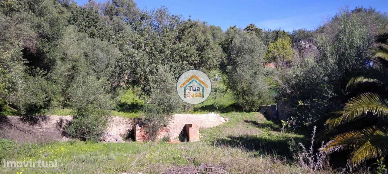 Terreno Urbano para Construção no Centro da Vila de Salir, Loulé - Grande imagem: 5/17