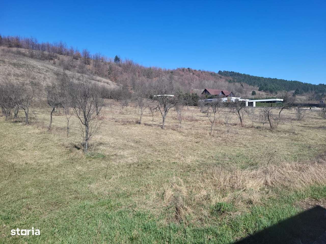 Parcele de vânzare în Tinăud Bihor-6