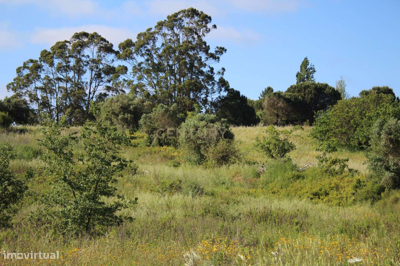 Oportunidade Única de Investimento em Terreno com Potencial Agrícola e-15