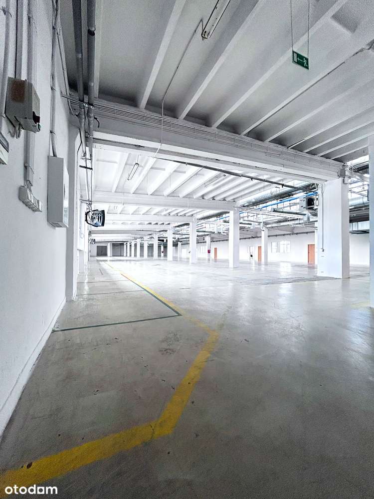 Magazyn / Produkcja koło Łodzi 2000 m2 koło Łodzi / Pabianice - Pełny obrazek: 4/5