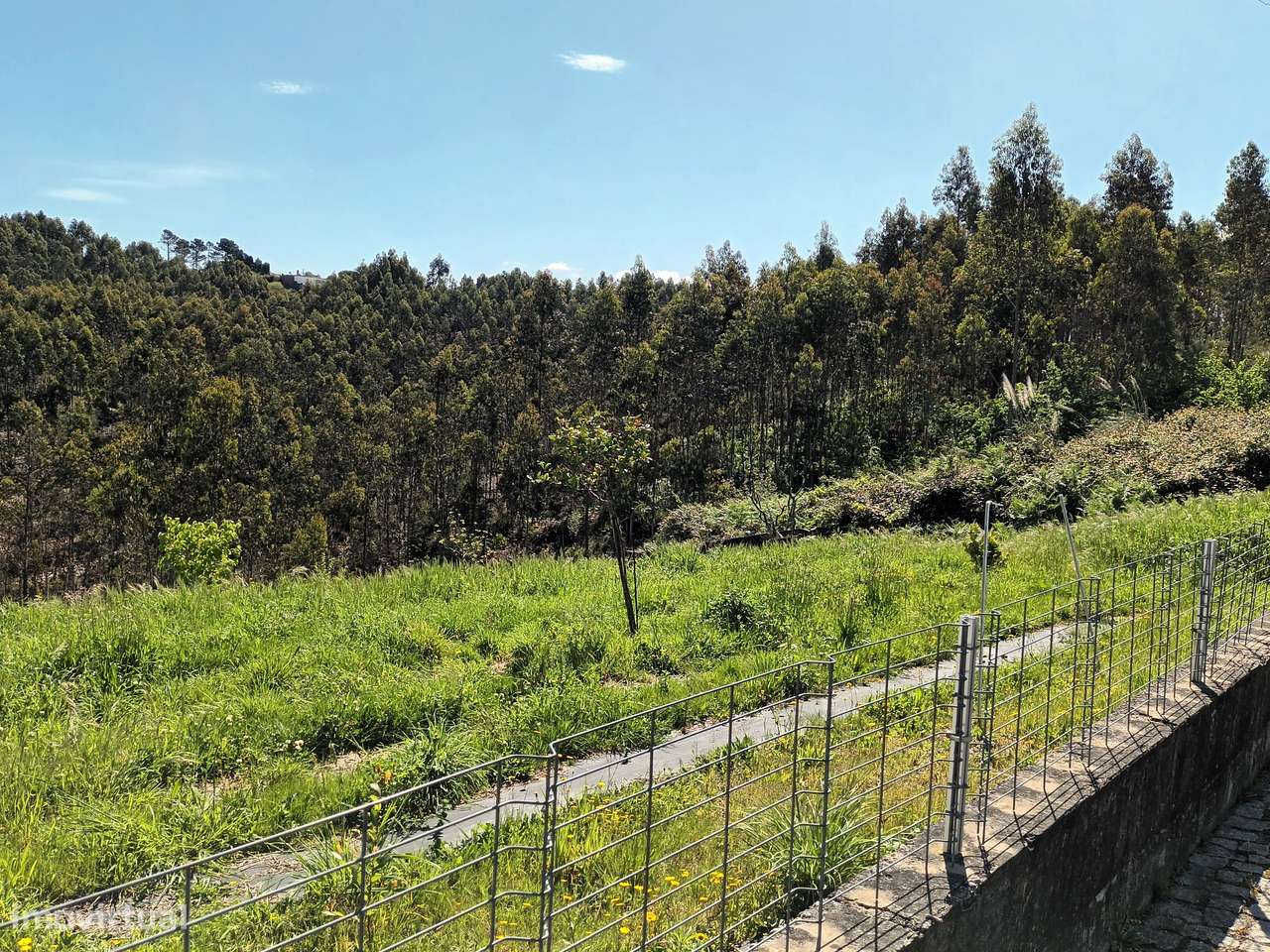 Terreno em Folgosa da Maia-9