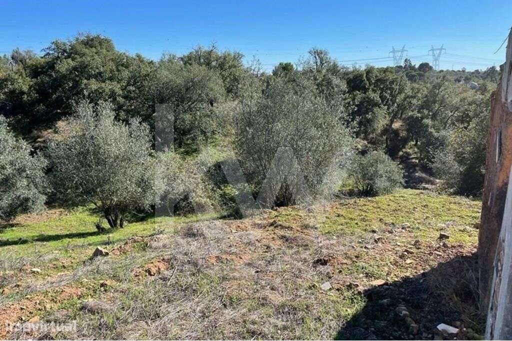Terreno Misto c/ ruína e dependência agrícola - São Francisco da Serra - Grande imagem: 4/9