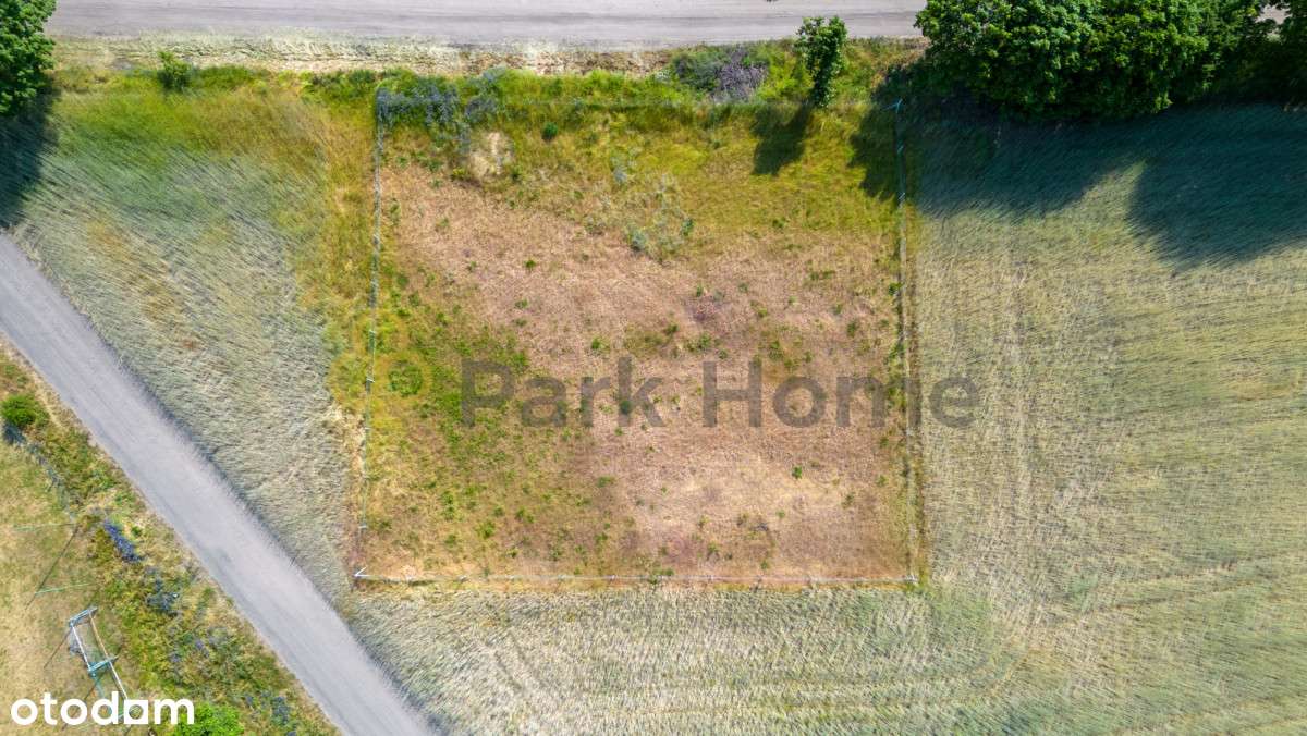 Działka budowlana 1000 m Brody Niższa cena ! - Pełny obrazek: 4/4