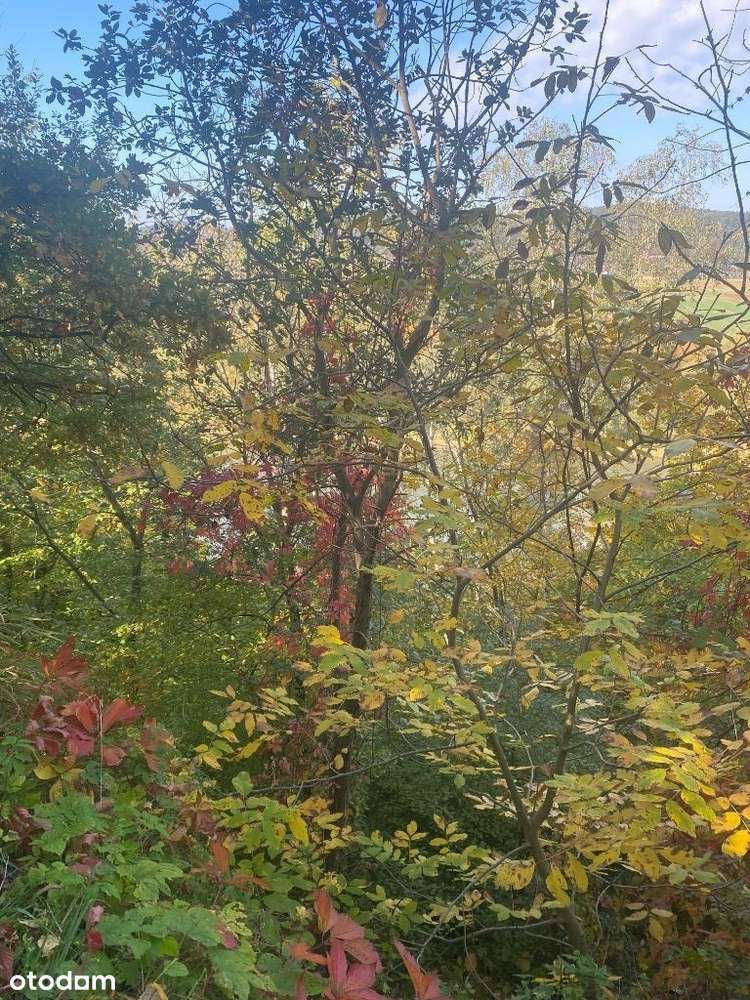 Piękna działka budowlana Dąbrówka Szczepanowska-5