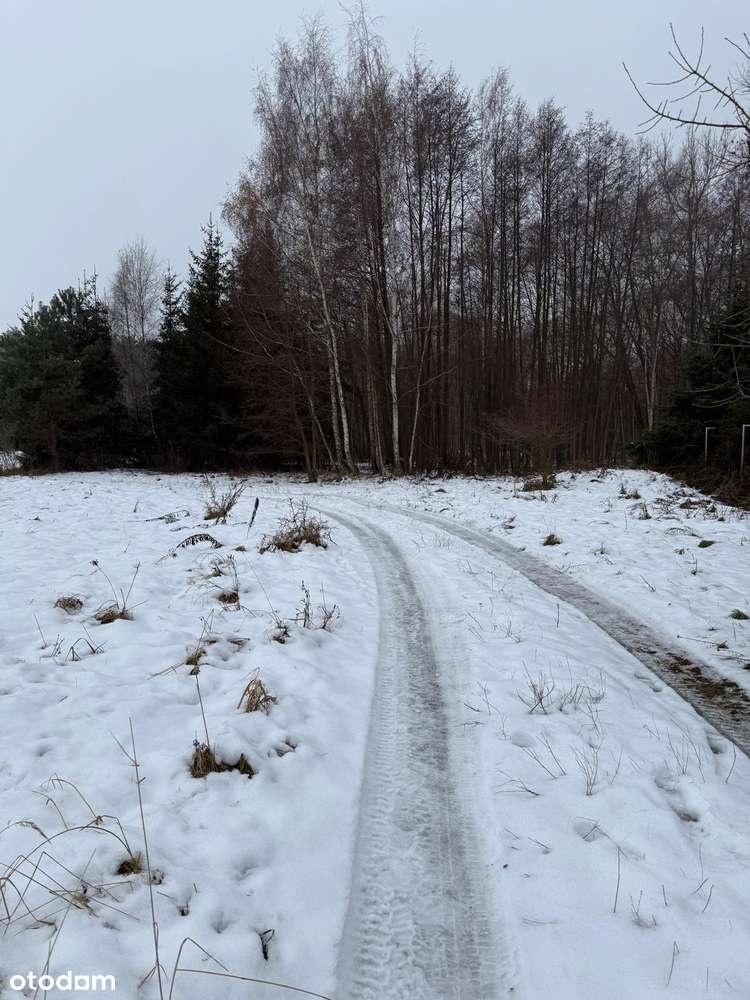 Bezpośrednio, atrakcyjna działka budowlana - Bugaj, gm. Pobiedziska - Pełny obrazek: 3/13