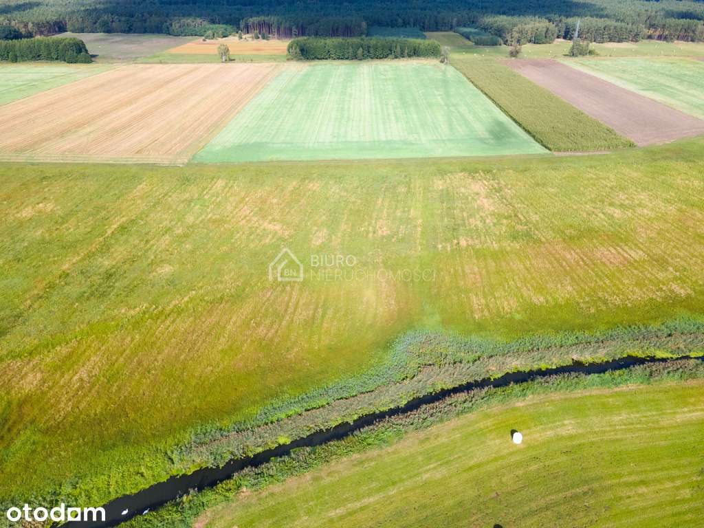 Duża działka rolna - łąki III i IV klasa 2,35 ha - Pełny obrazek: 5/8