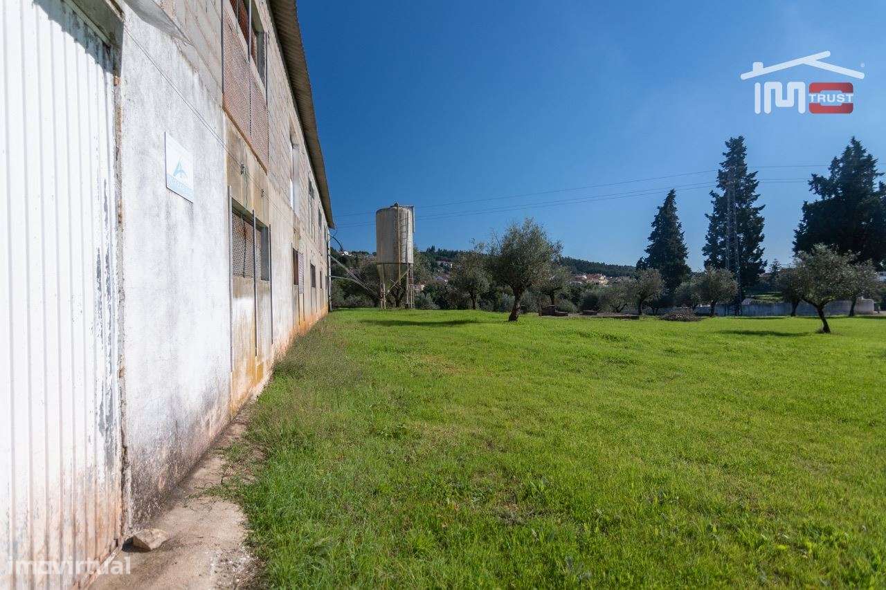 Antigo Aviario para venda - Grande imagem: 4/18