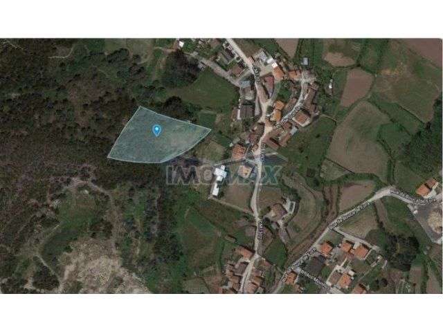 Tapada do Bacelo – Peroselo, Penafiel - Grande imagem: 1/1