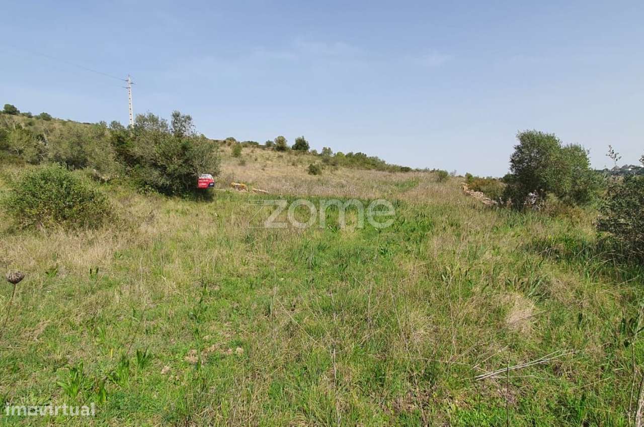 Terreno Rústico -Natureza, História e Tranquilidade na Terrugem Sin...-3