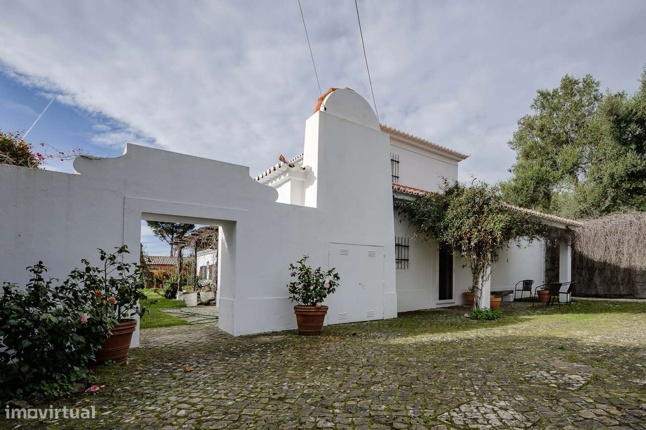 Moradia T3 no Morelinho - Grande imagem: 2/51