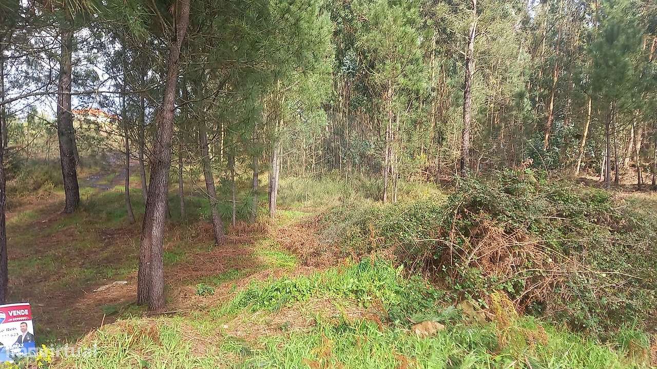 Terreno  para venda - Grande imagem: 2/4