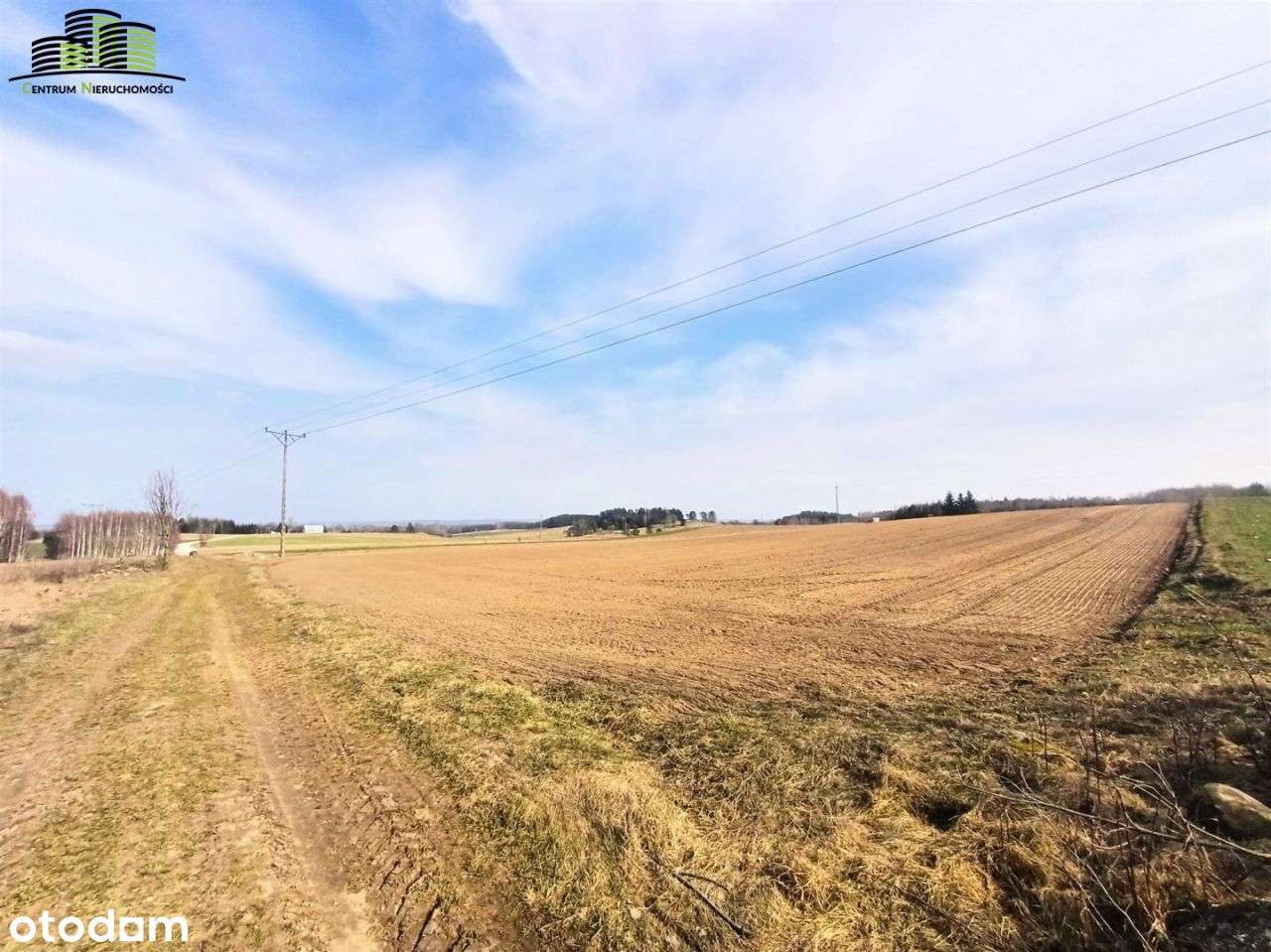 Działka pod Żwirownie- gm. Sokółka-1,95ha - Pełny obrazek: 4/7