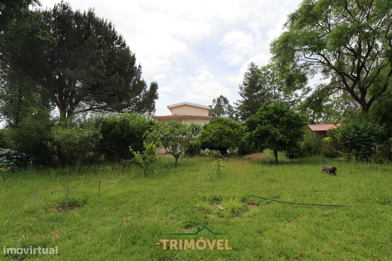 Moradia Isolada T3 Venda em Ossela,Oliveira de Azeméis-45