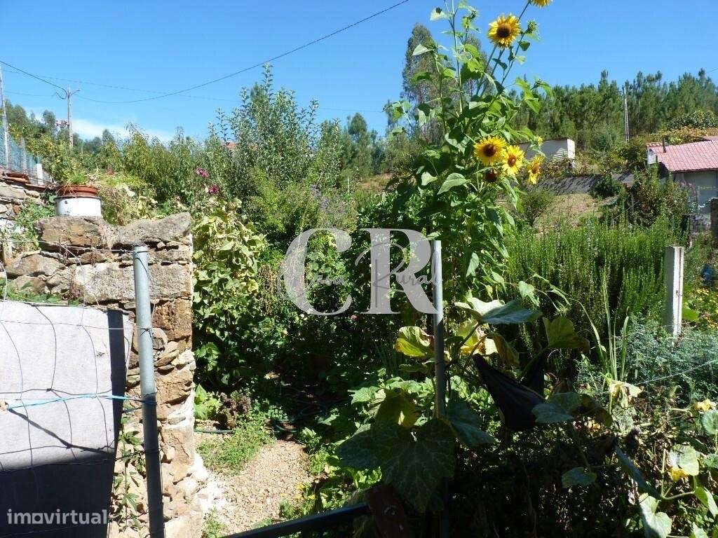 Duas casas habitáveis numa aldeia tradicional de montanha em Alvares,-52