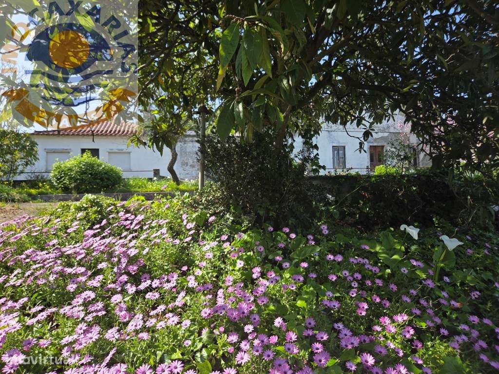 Refúgio Histórico do Séc. XIX: Onde a Tradição se Encontra com a Serra-29