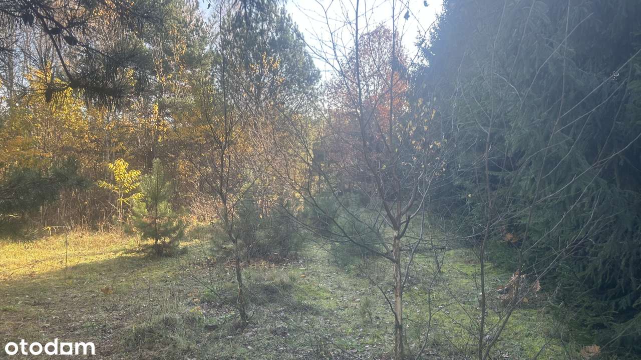 Działka budowlana 7847 m² w spokojnej okolicy! - Pełny obrazek: 5/12