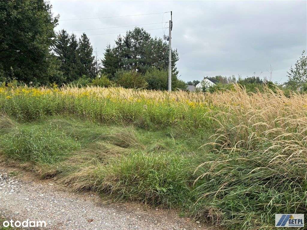 Działka z pozwoleniem na budowę, Czarnochowice. - Pełny obrazek: 4/9