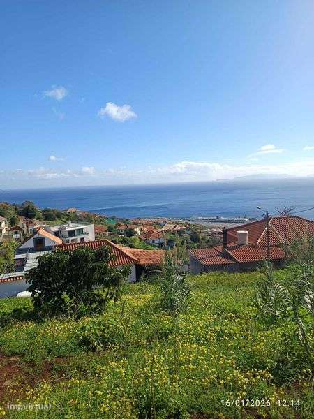 imoveis  na ilha da madeira - Grande imagem: 4/11