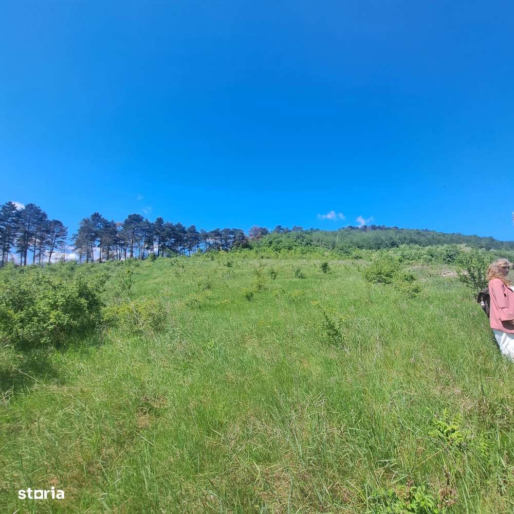 Teren zona fermelor 1500 mp - Imagine principală: 3/11