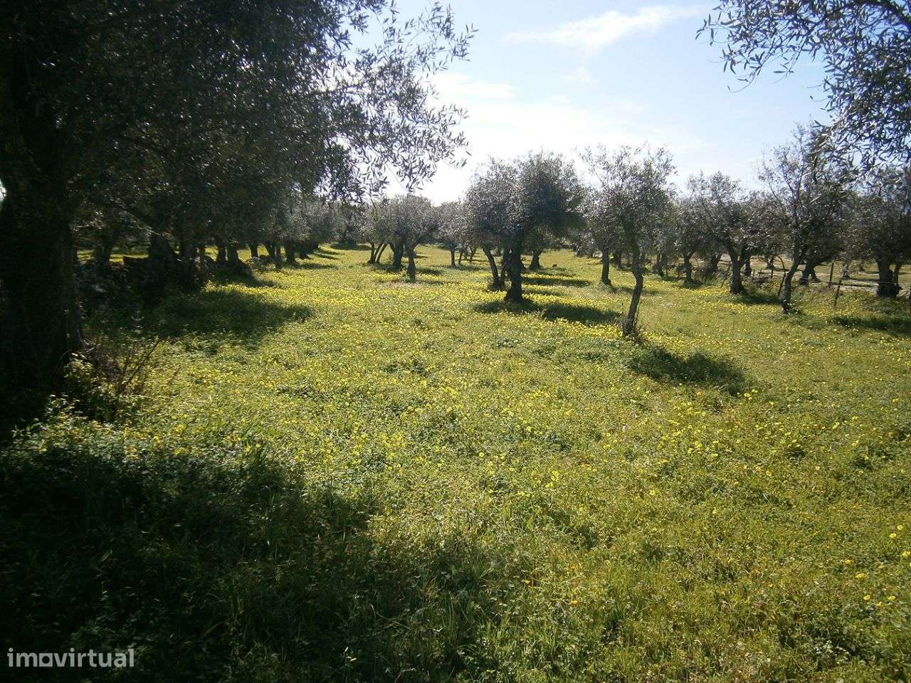 Terreno - Grande imagem: 4/6