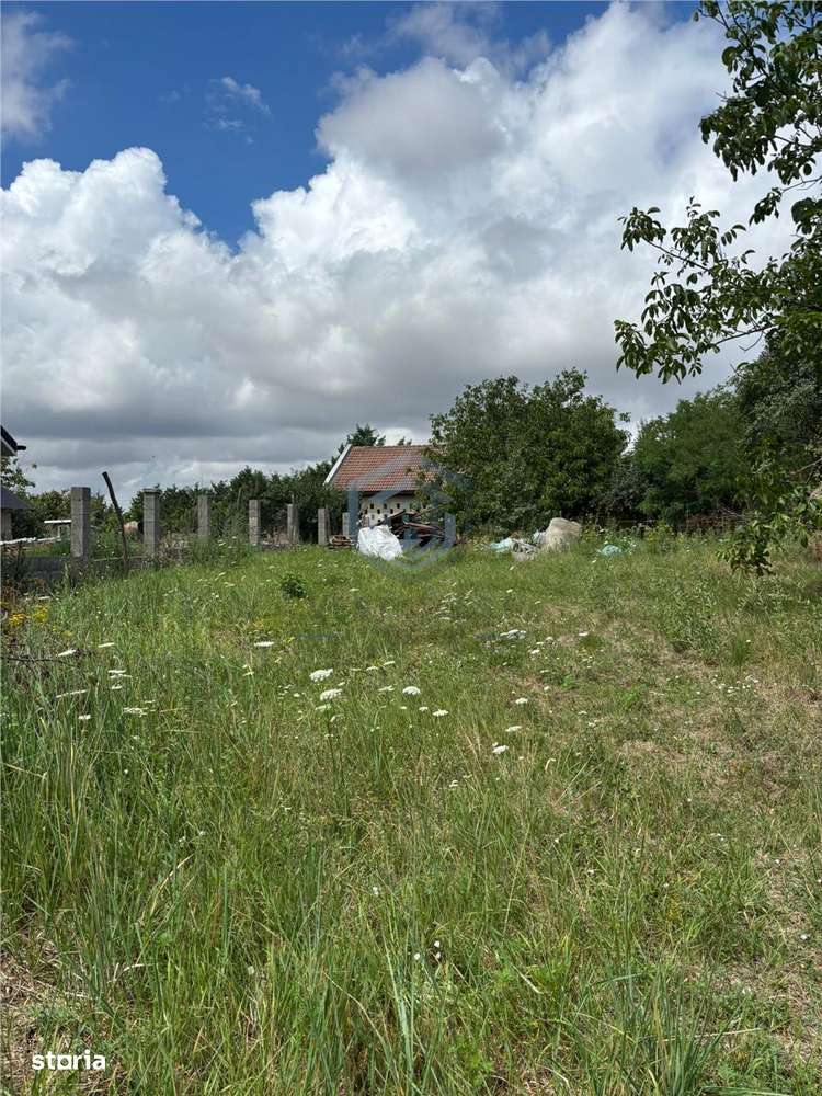 Teren intravilan in centru Paleu - Imagine principală: 2/3