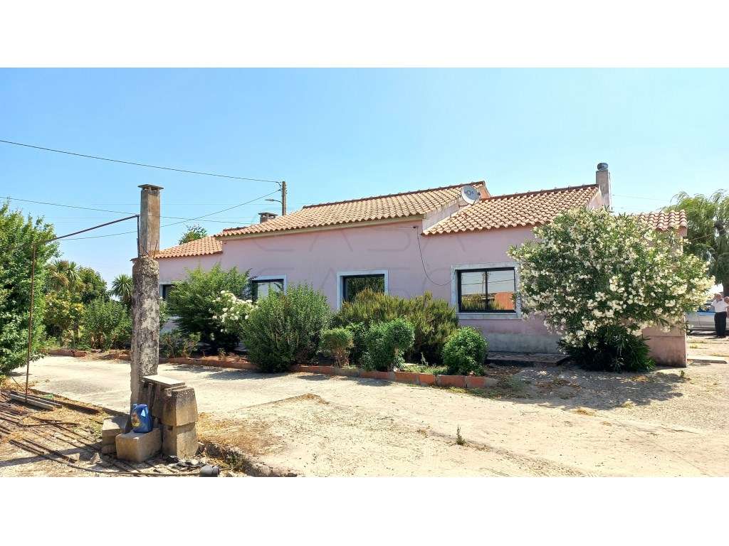 Herdade vinhateira próxima de Setúbal-17