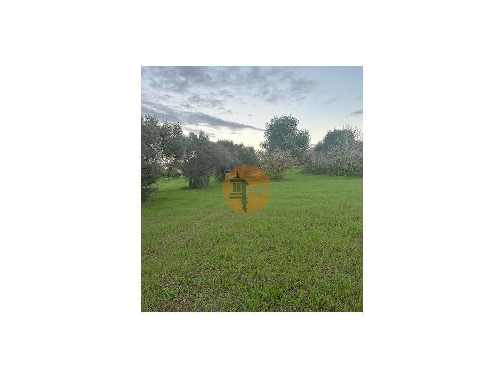 Terreno Rustico - Grande imagem: 4/12