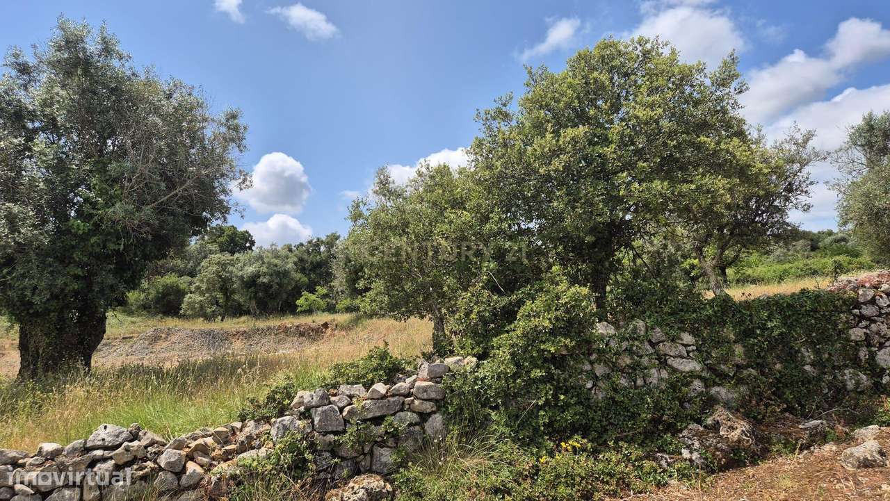 Terreno com 3.610 m² – Potencial e Natureza na Serra de Sicó - Grande imagem: 4/10